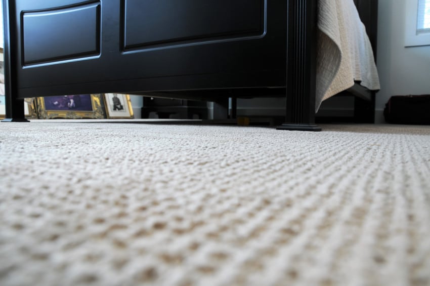 Thompson-Carpet-closeup