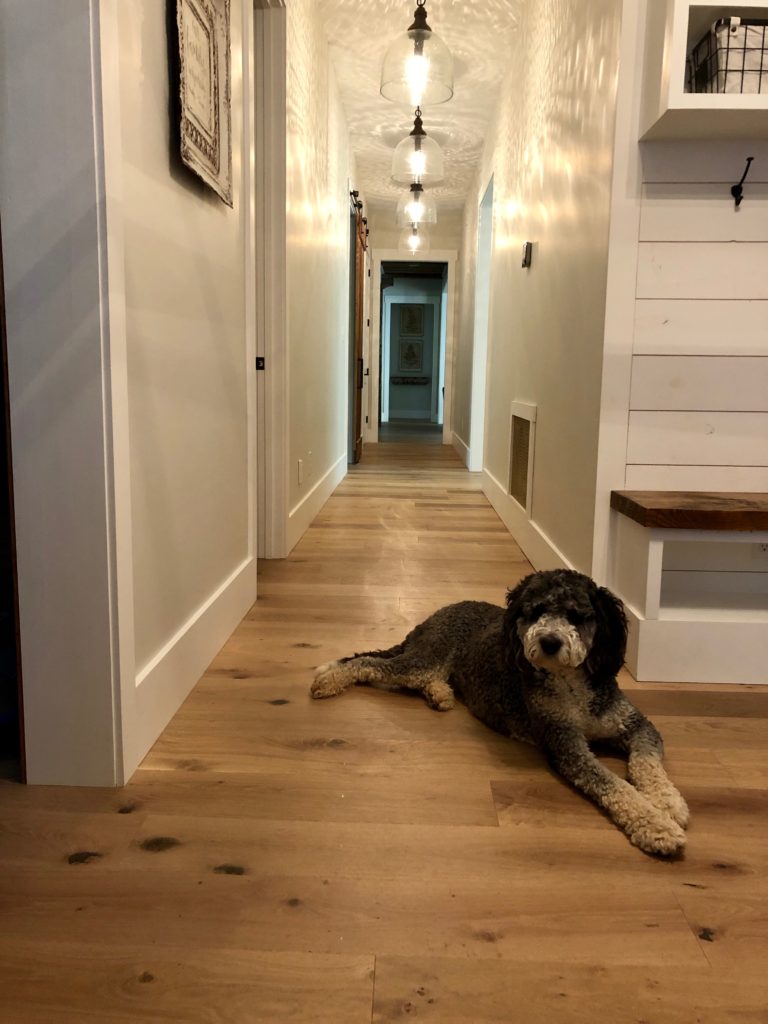Hardwood Flooring dog lover