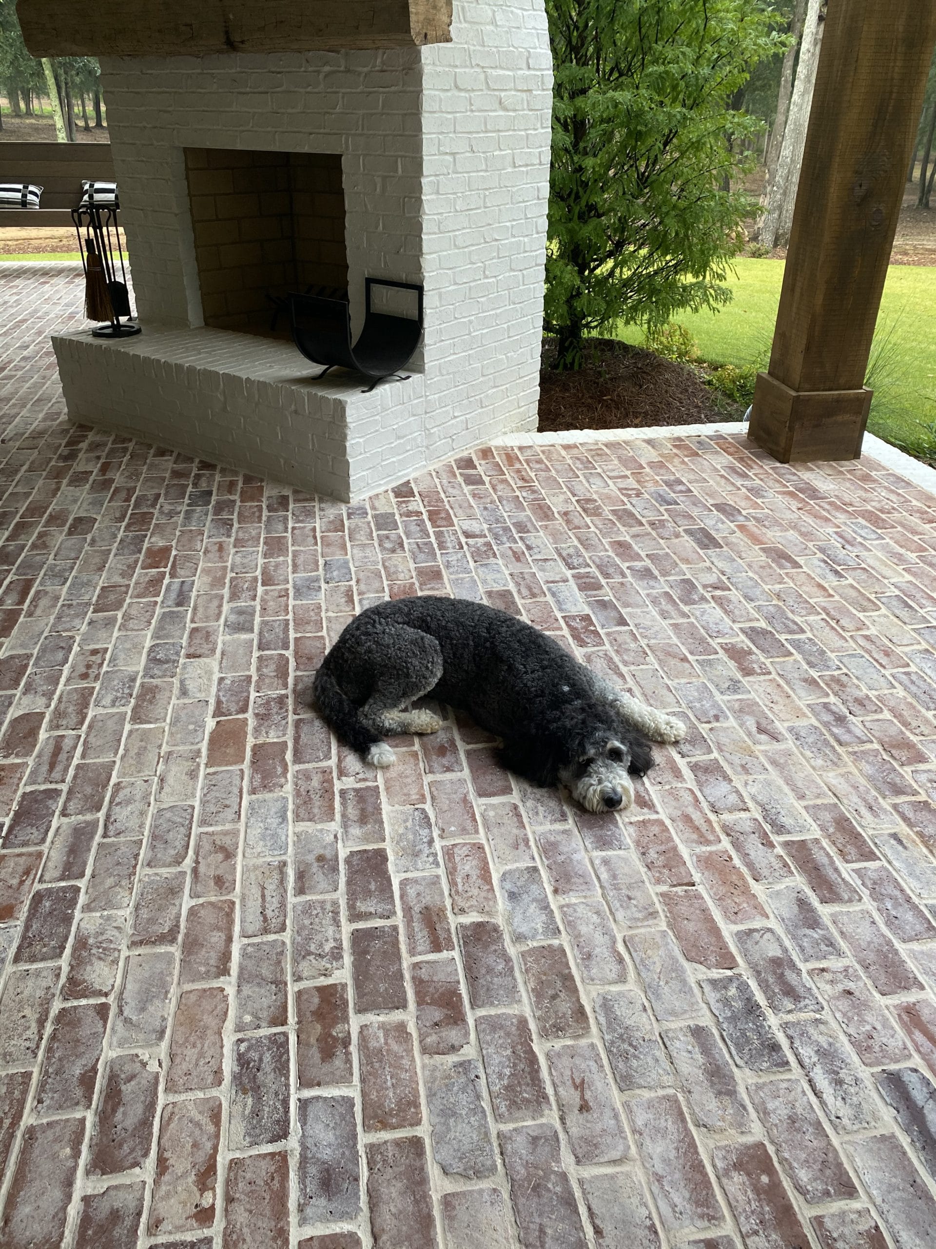 Brick patio with dog